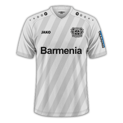 Bayer Leverkusen 2019/20 - Tercera equipación